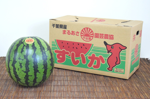 丸朝西瓜