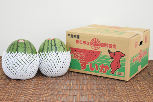 小玉西瓜