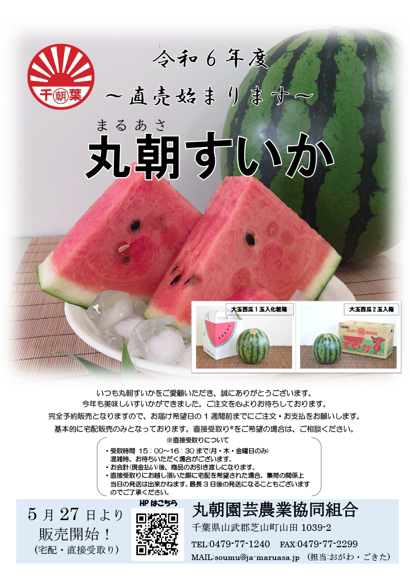 令和6年度 丸朝すいかの出荷が始まっております