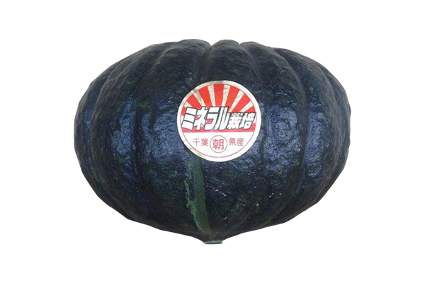 丸朝の主要野菜かぼちゃ