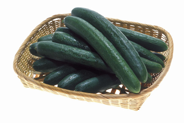 丸朝の主要野菜 きゅうり