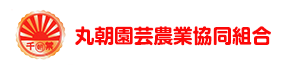 丸朝園芸農業協同組合ホームページ