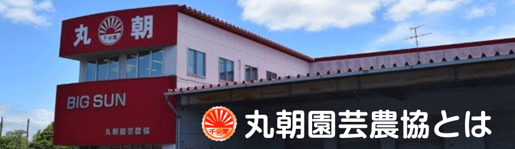 丸朝園芸農協とは？