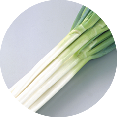 丸朝の主要野菜ねぎ