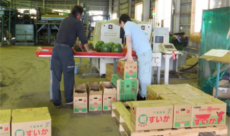 出荷前の検査の徹底