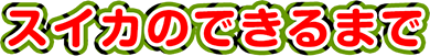 スイカのできるまで