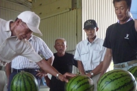 �I�ʍu�K���i